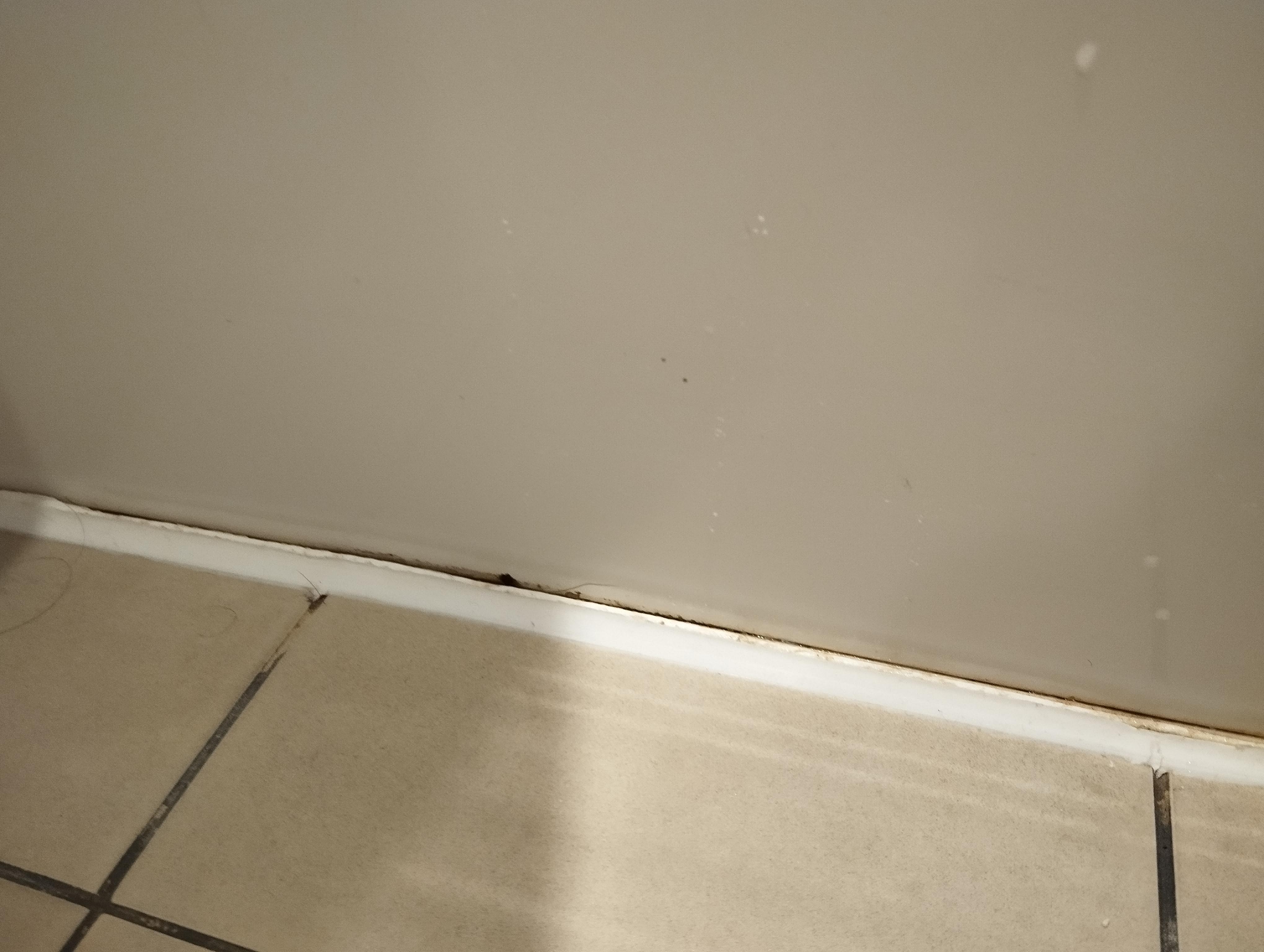 Dirt/ mouldy caulking