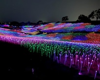 Field of Light at Sensorio, just 10 minutes from the Jany House.