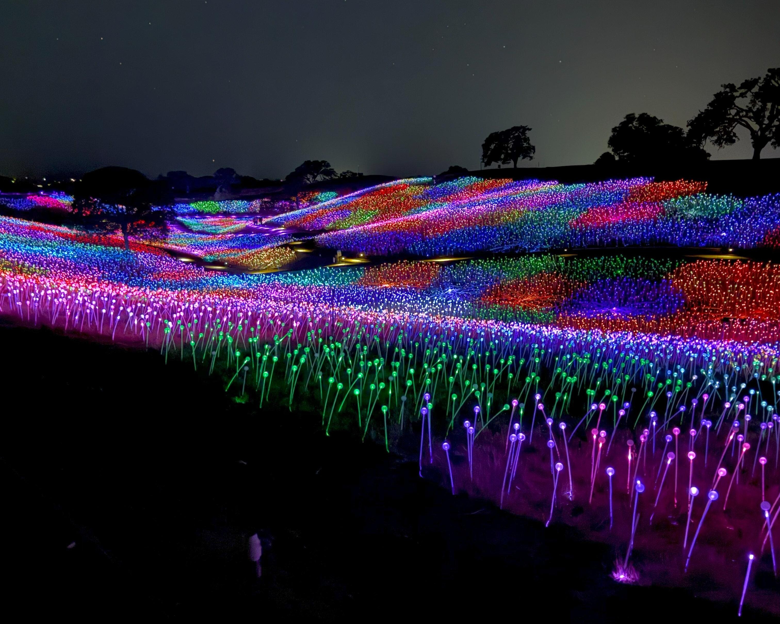 Field of Light at Sensorio, just 10 minutes from the Jany House.