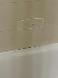 Mold