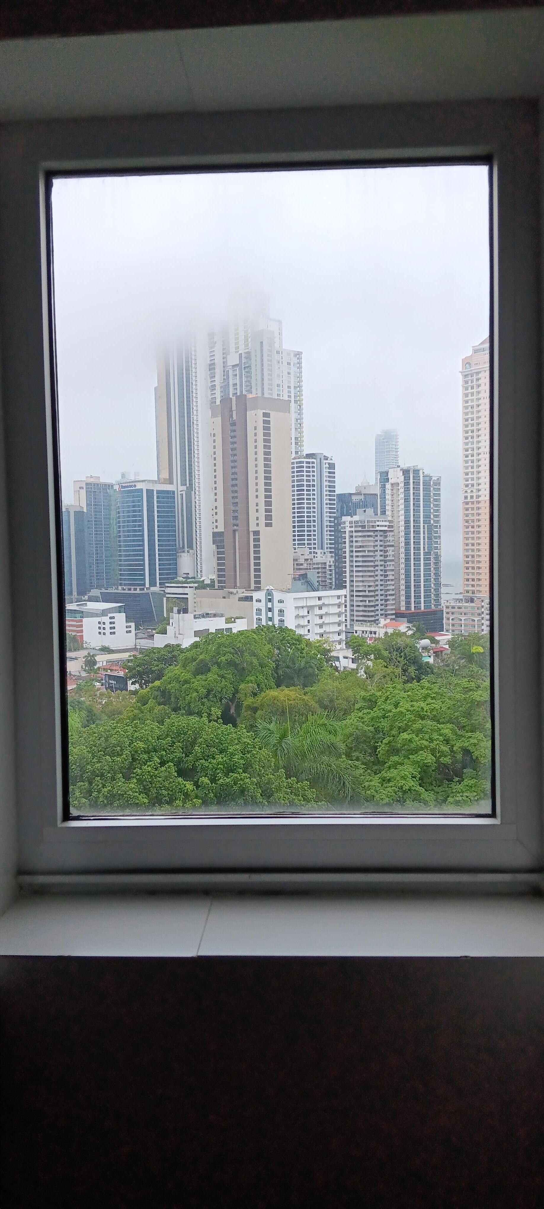 View from kitchen window