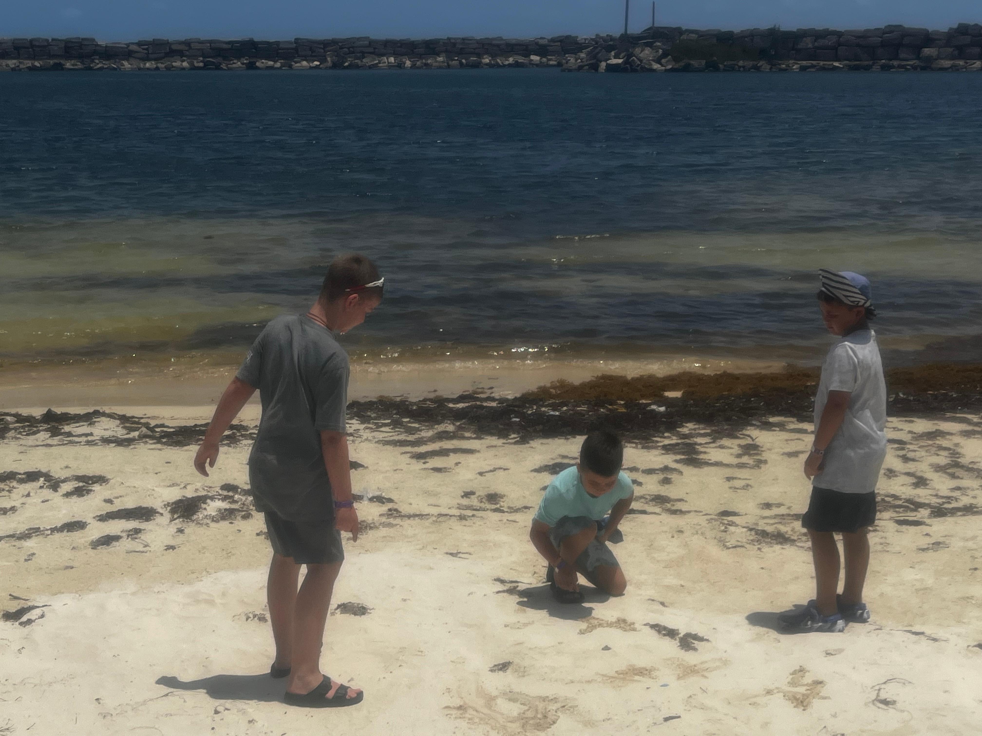 Best section of the beach