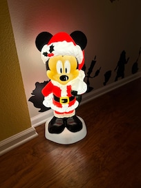 Mickey welcomed us to the house.