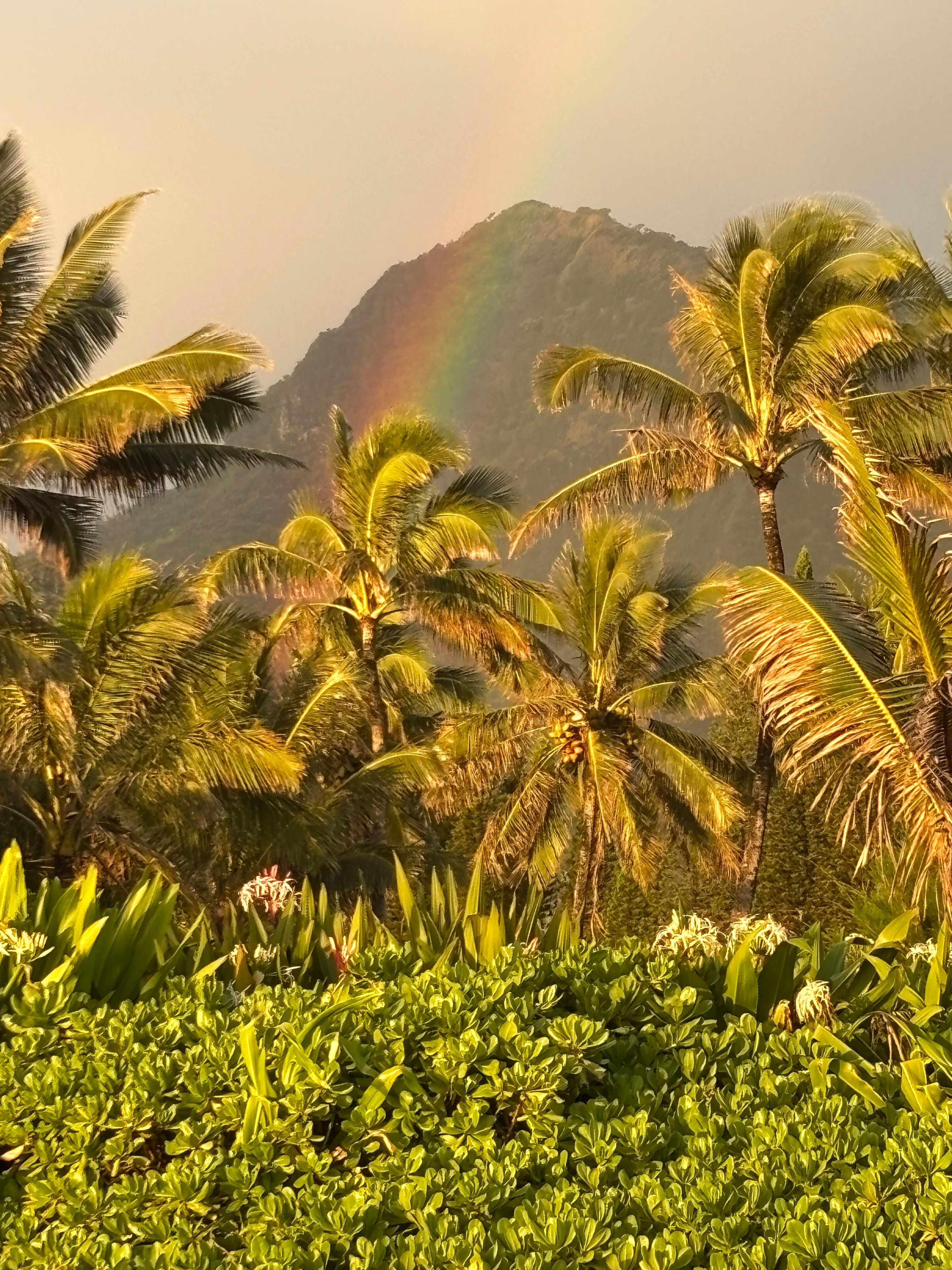 Tunnels beach