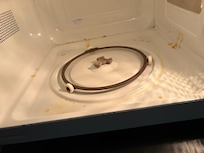 The remenants of the food