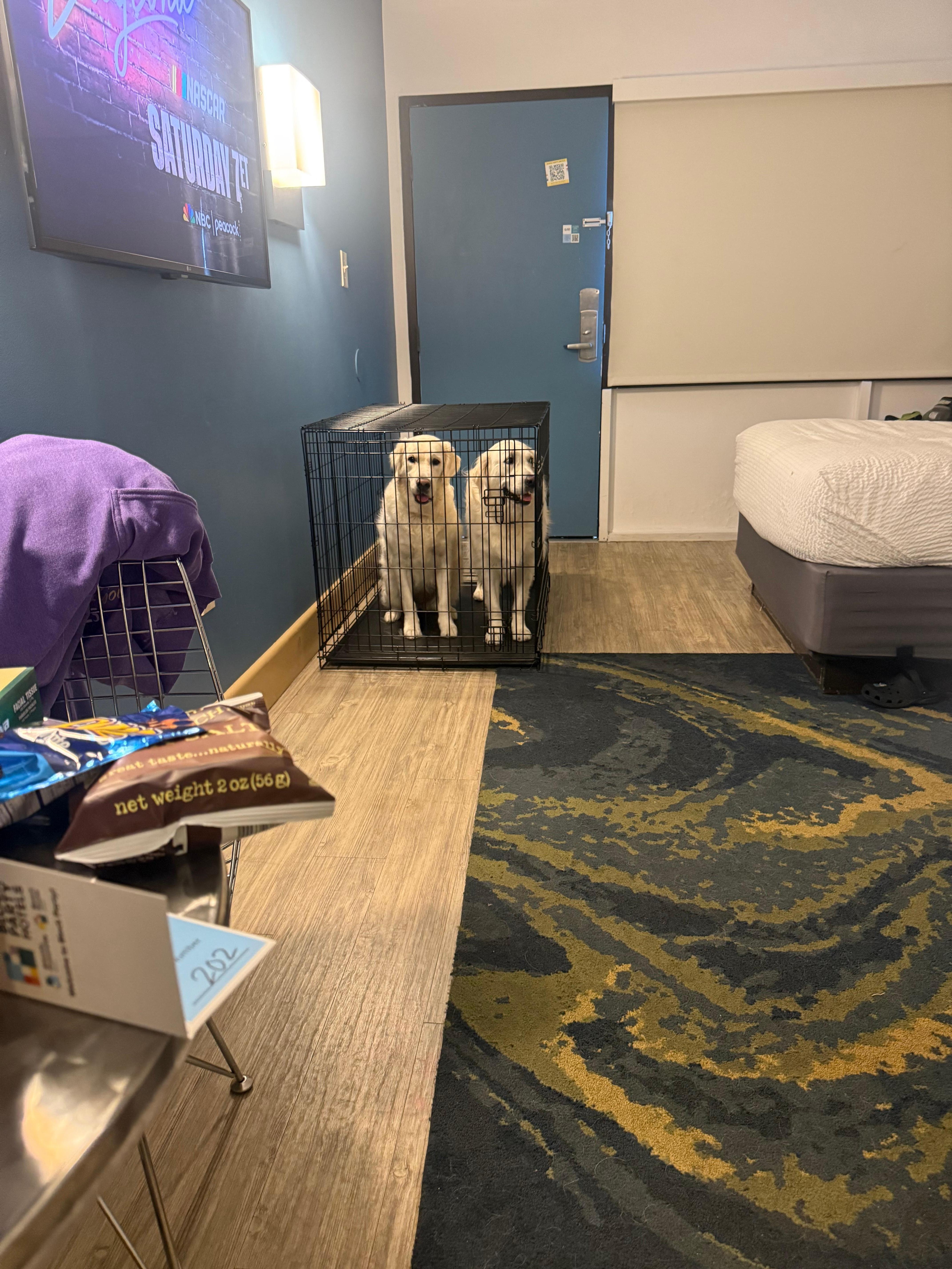 Our babies loved it as well, and they were very quiet!