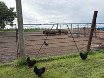 Just another day on the ranch :)