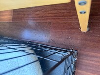 Ants be dog crate