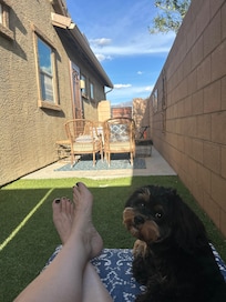 Nice place to relax in the shade.