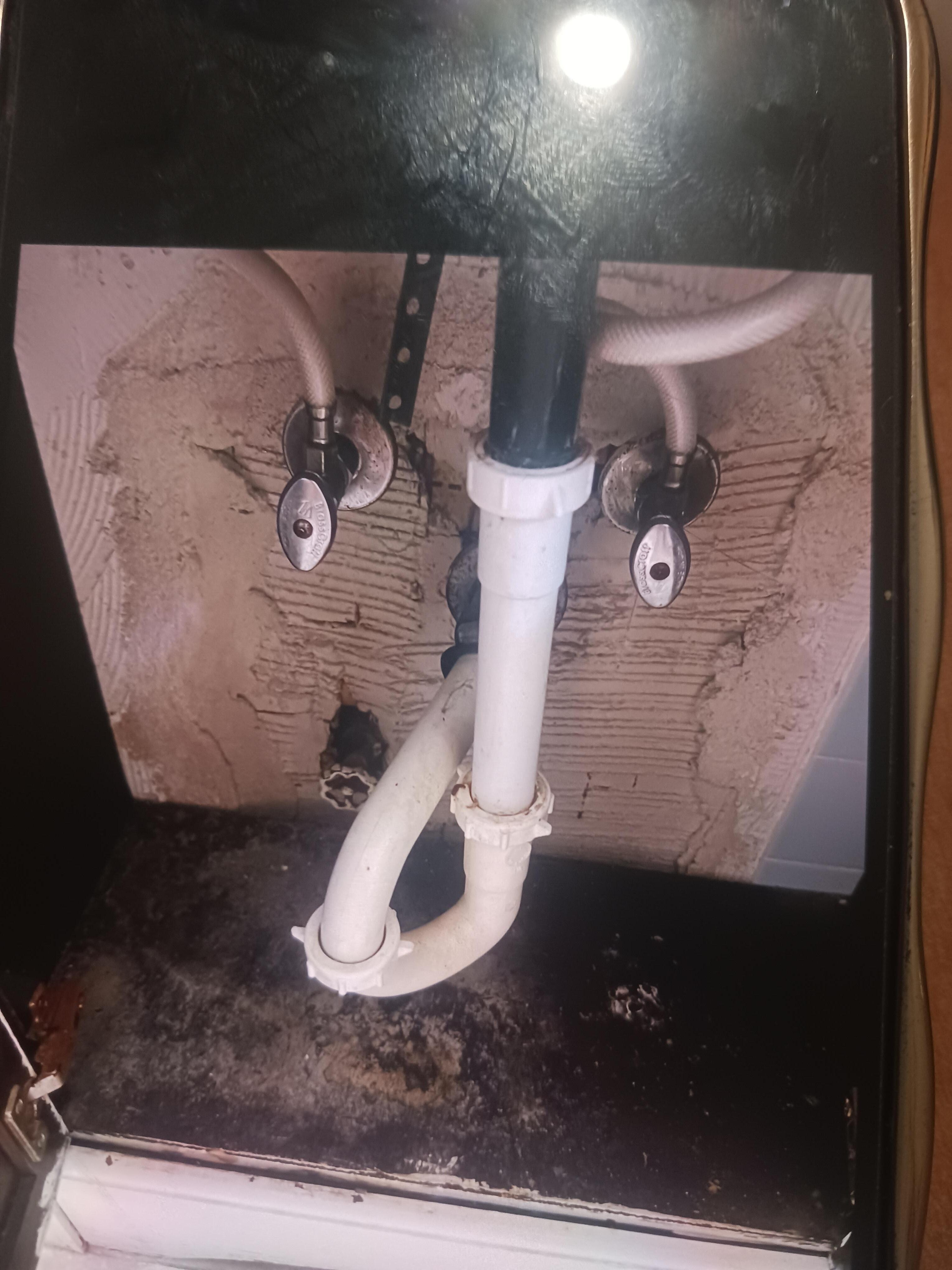 Cabinet has mildew