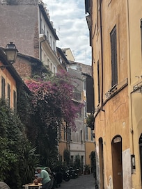 The neighborhood
