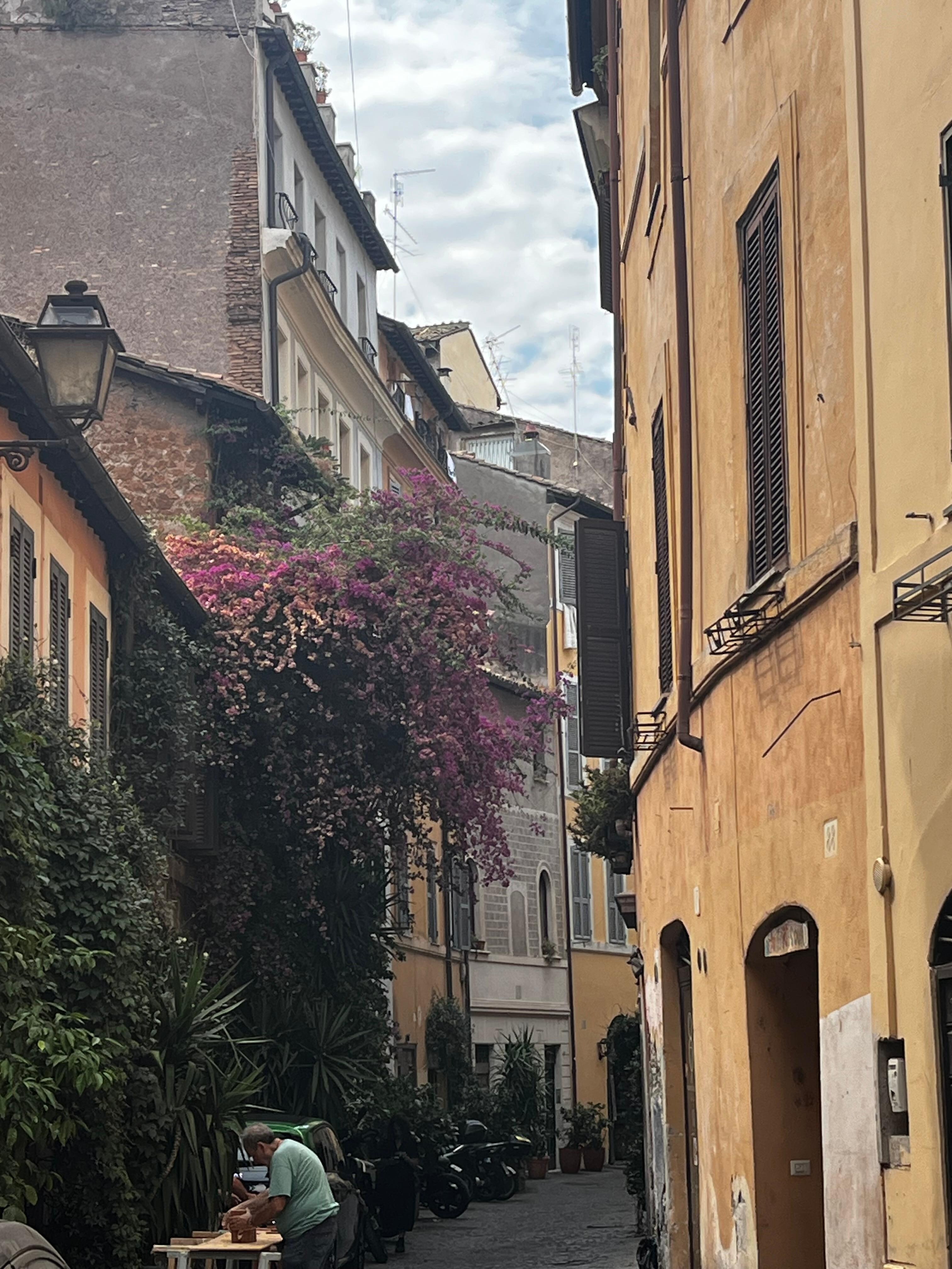 The neighborhood 