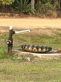 The artisian well they have in front yard