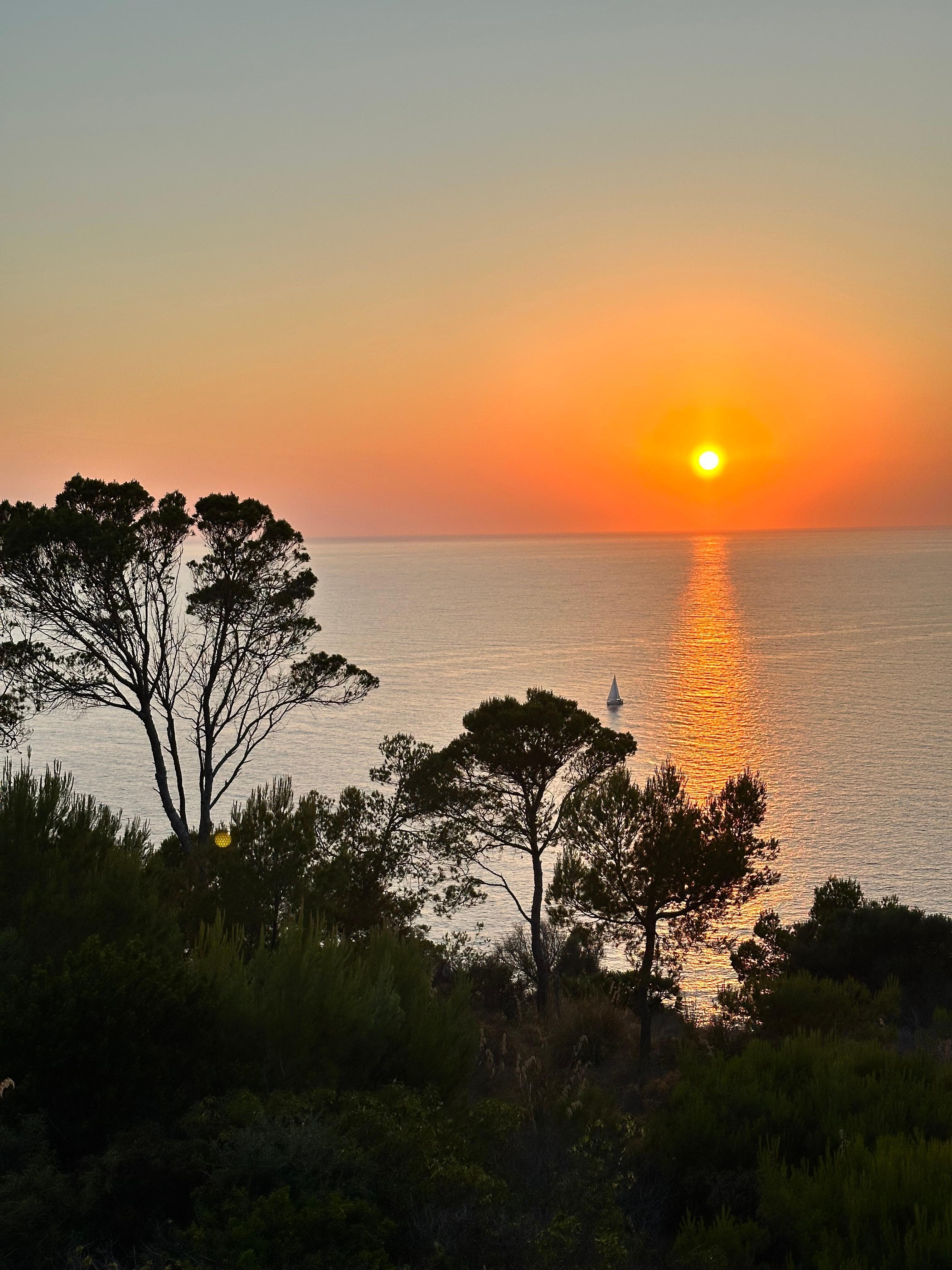 Sunset from the house.