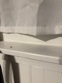 Big on window sill the night we arrived