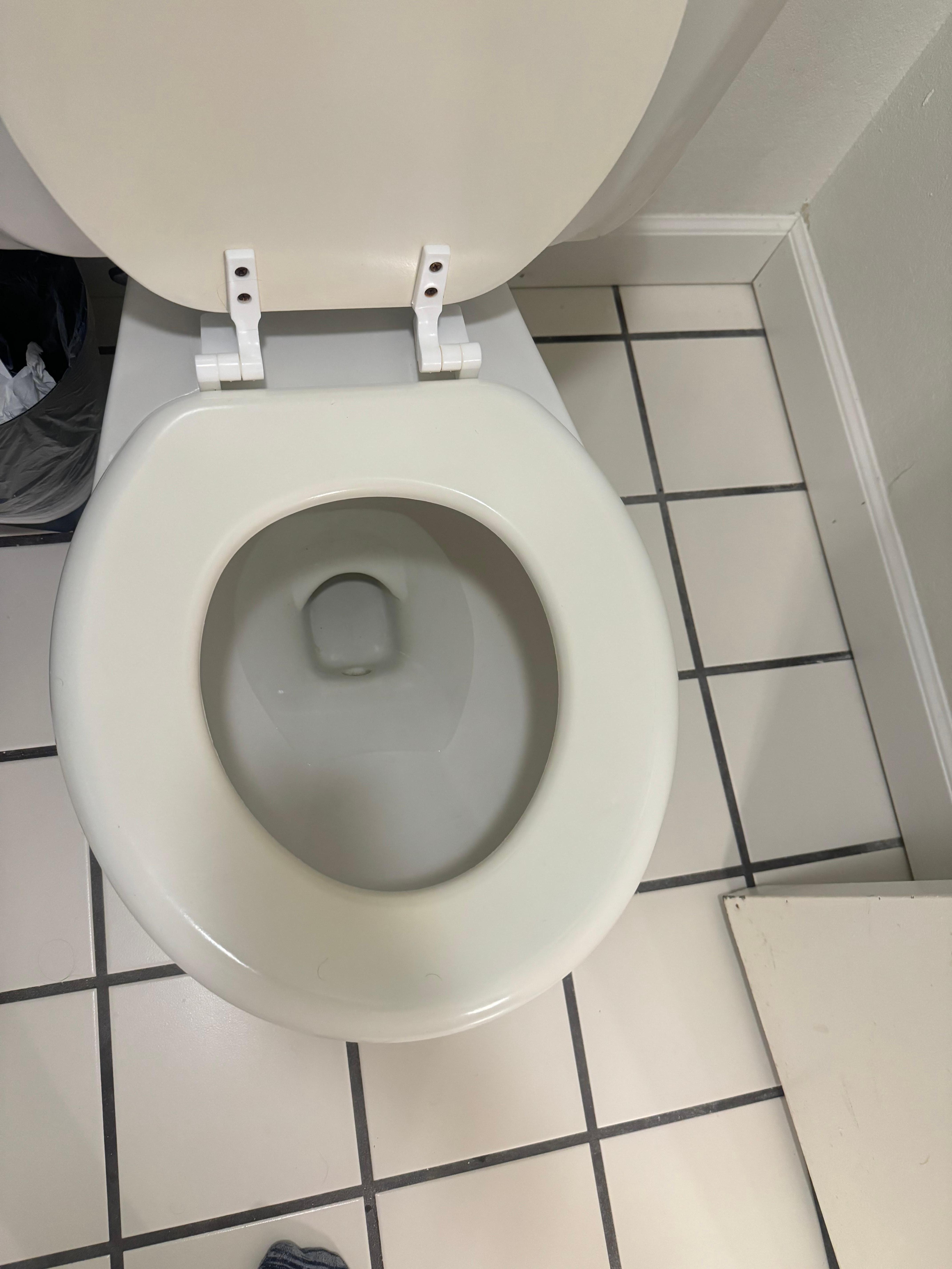 Tiny home toilet seat from the 90’s.