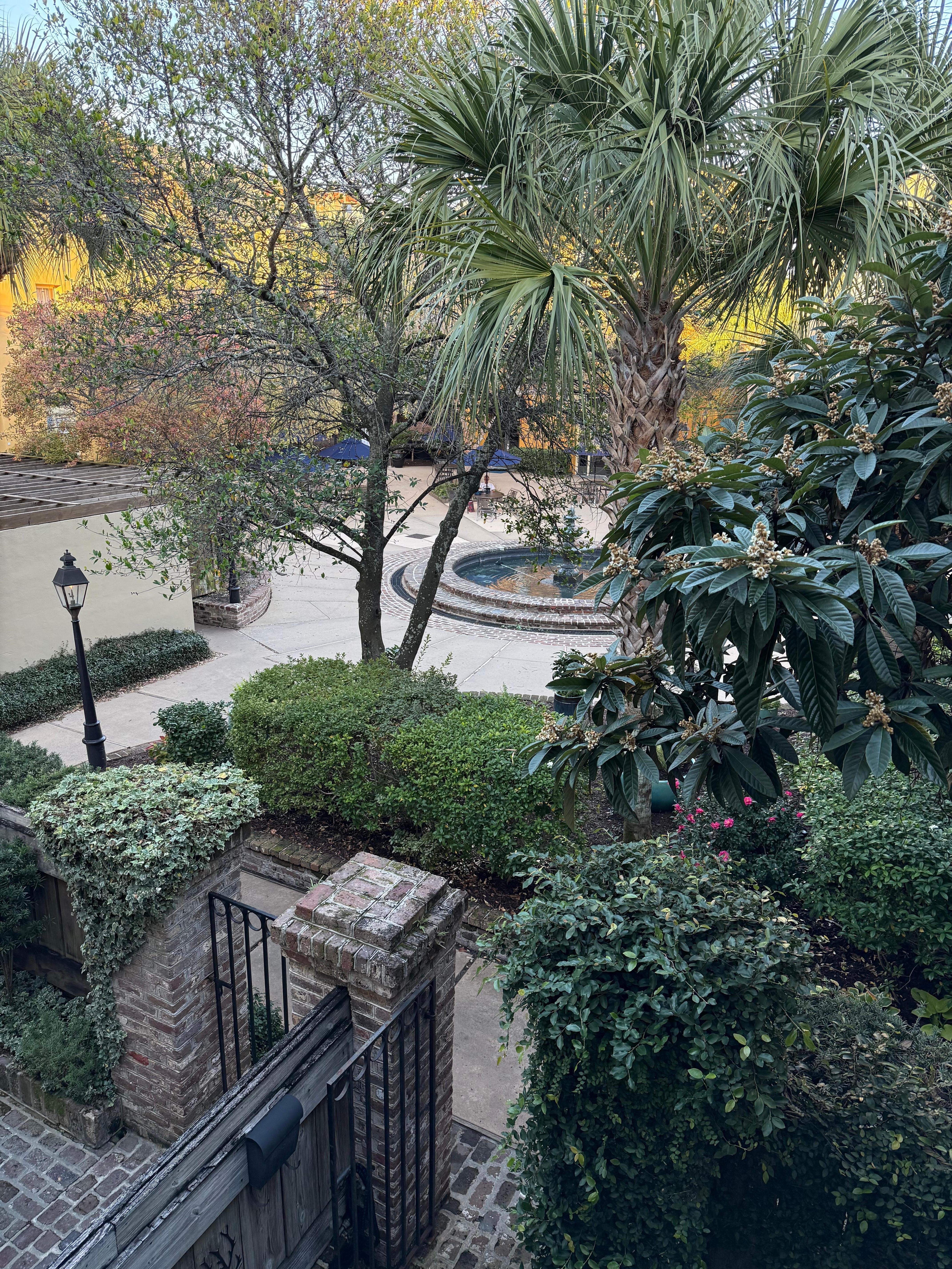 View from the balcony 