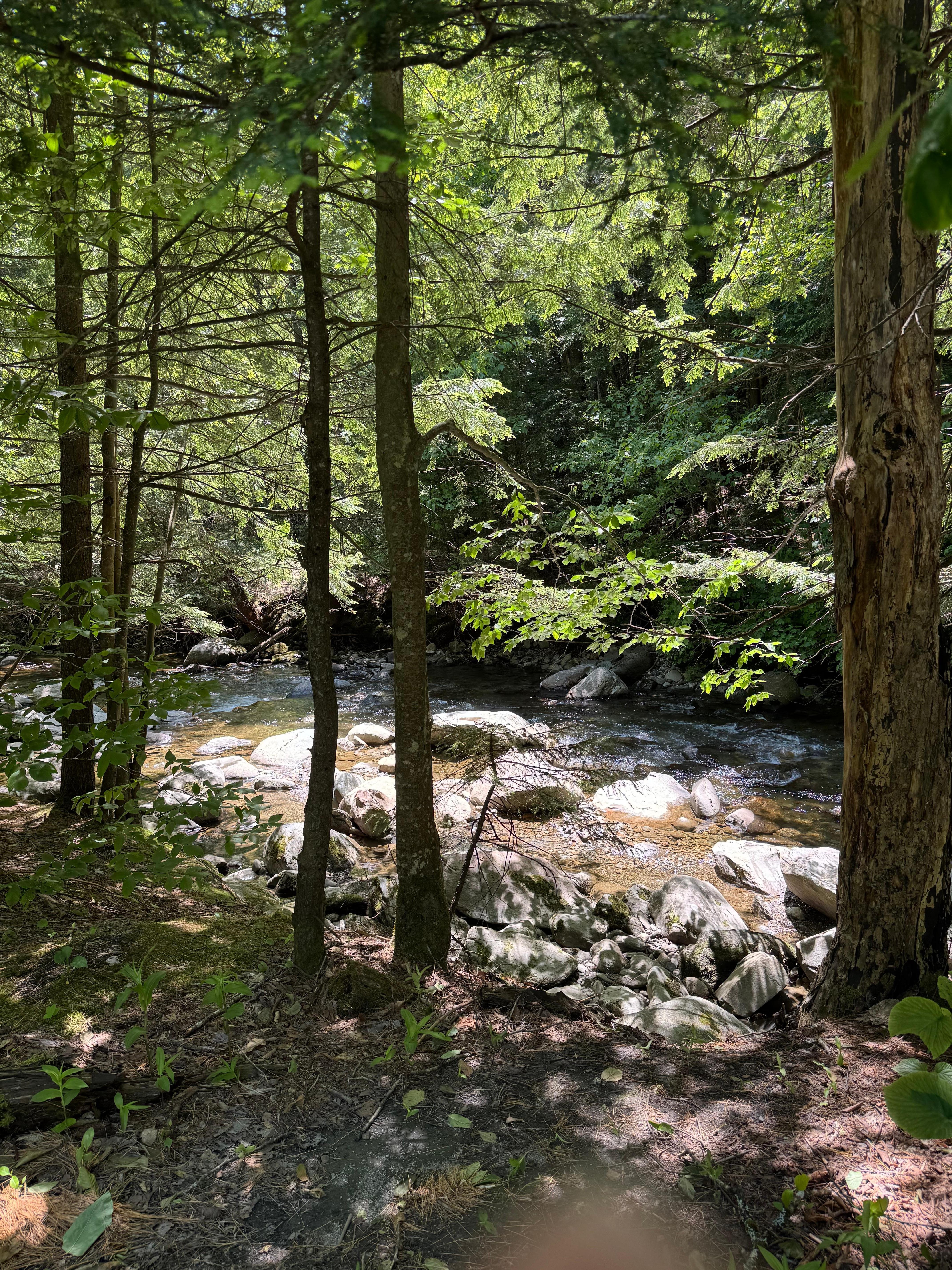 The stream in the front yard.