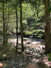 The stream in the front yard.