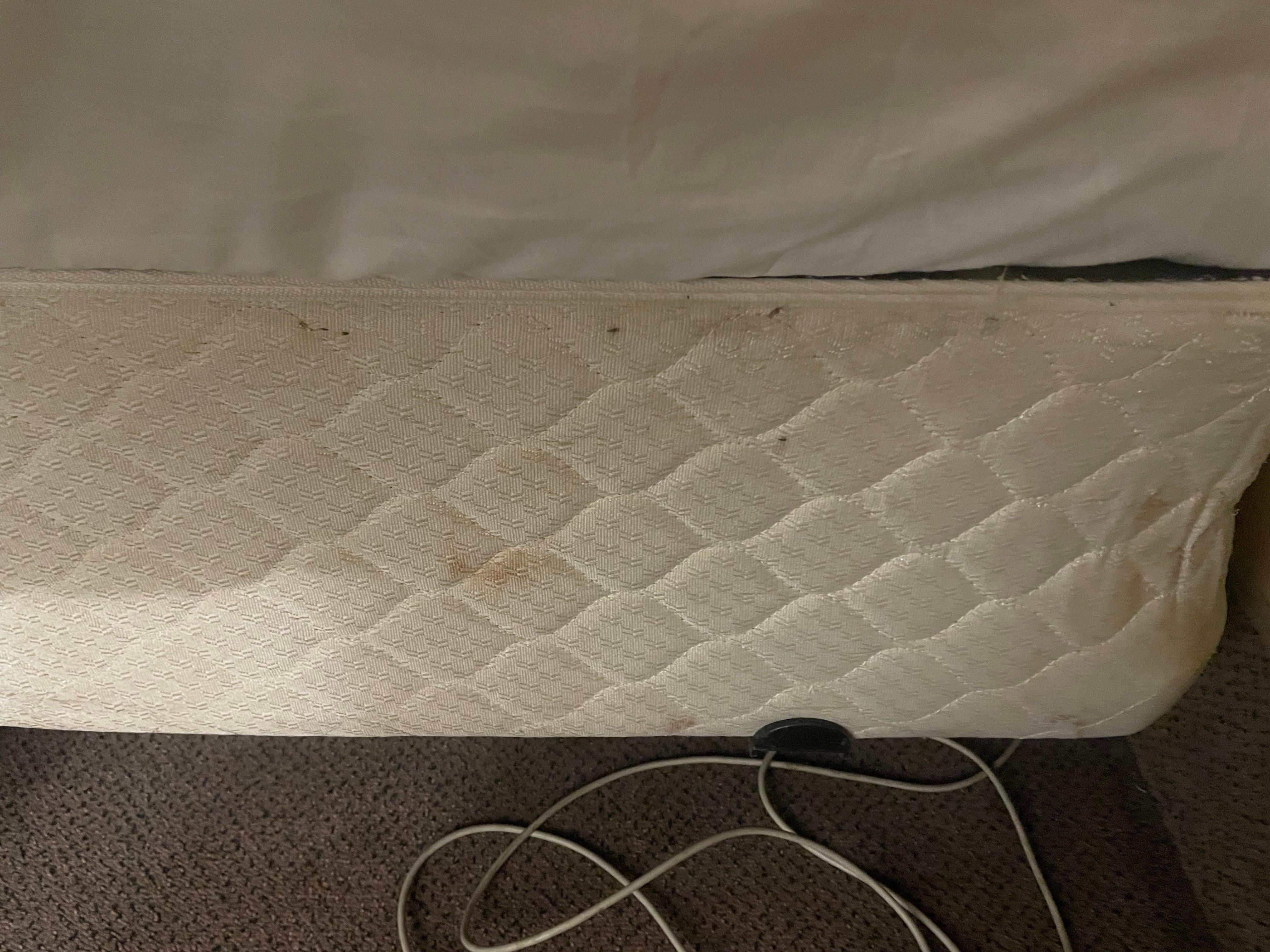 Bed bug marking on box spring