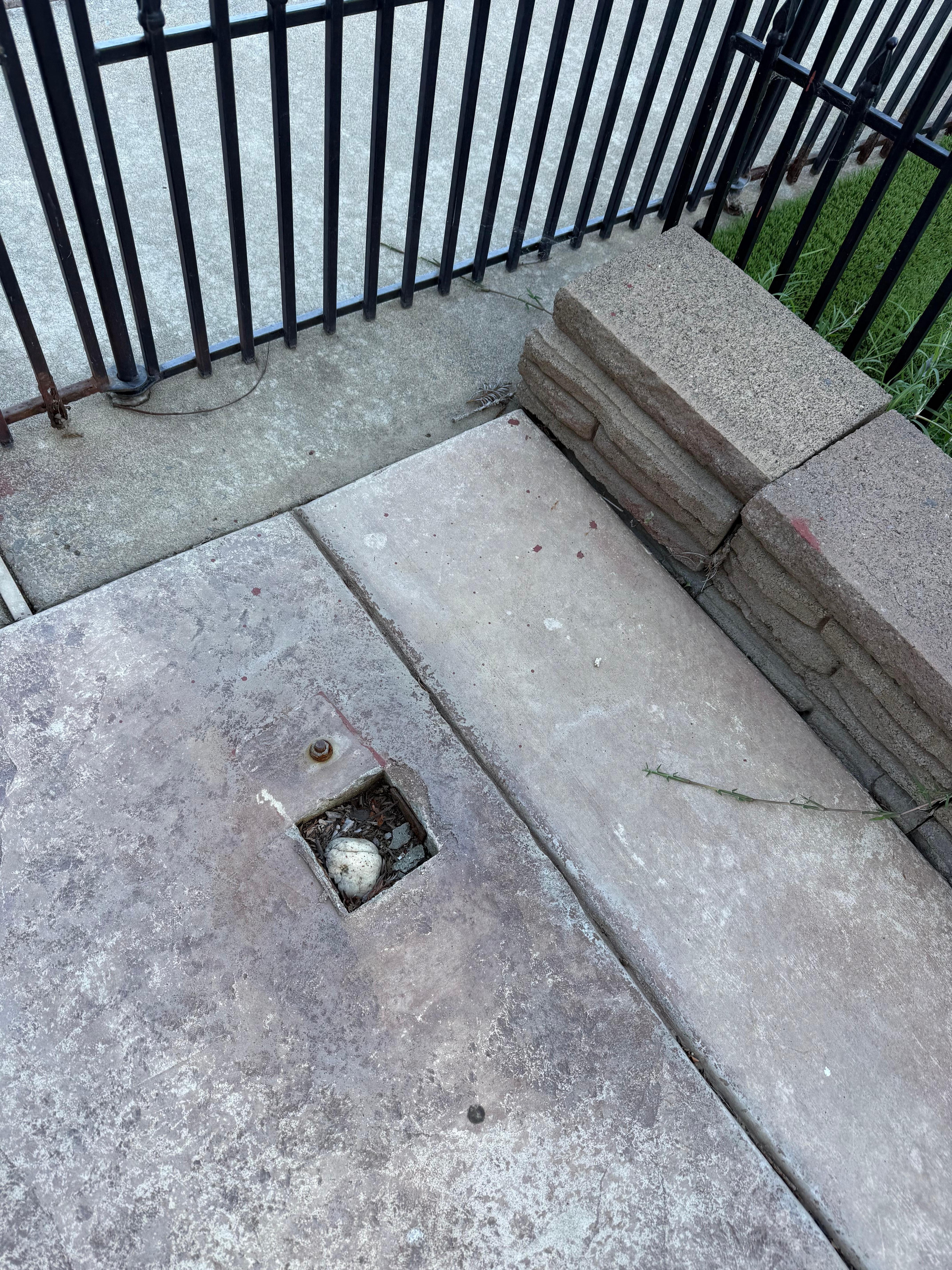 Loose bricks and holes where structure had been