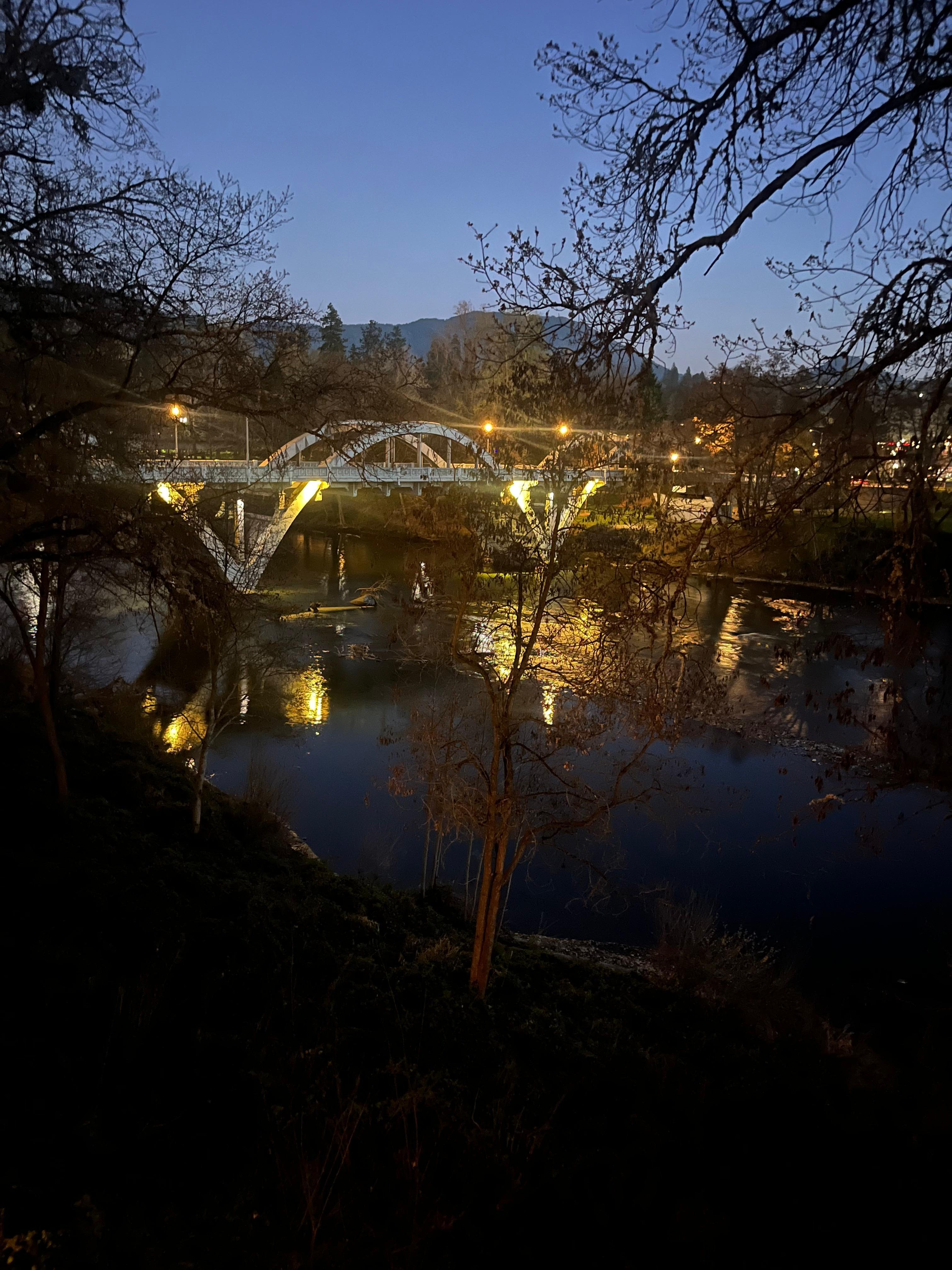 Nighttime view of the bridge from our balcony 