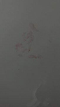 One on the room has a red mark it look like blood which is very nasty and disgusting especially when you have kids in the room.
