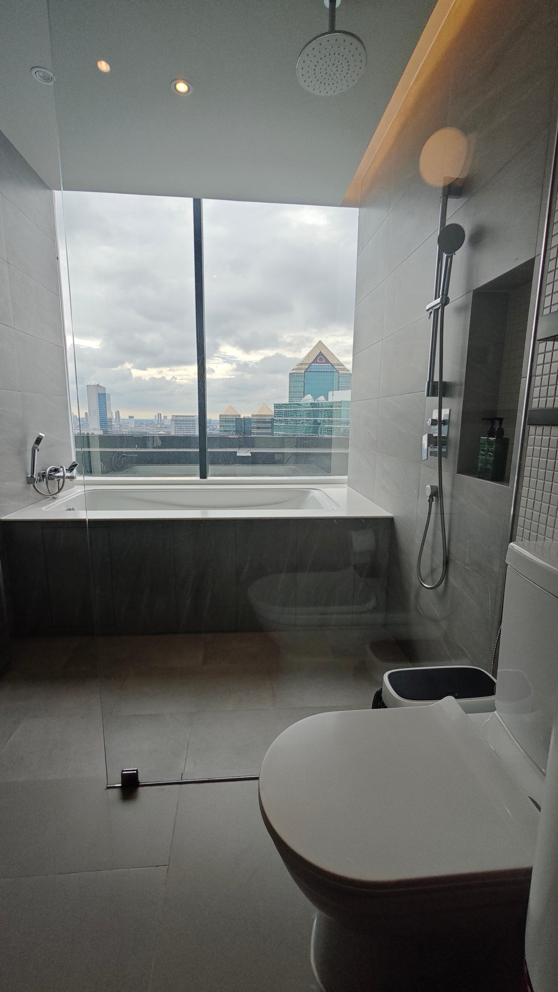 Bathroom with a view 