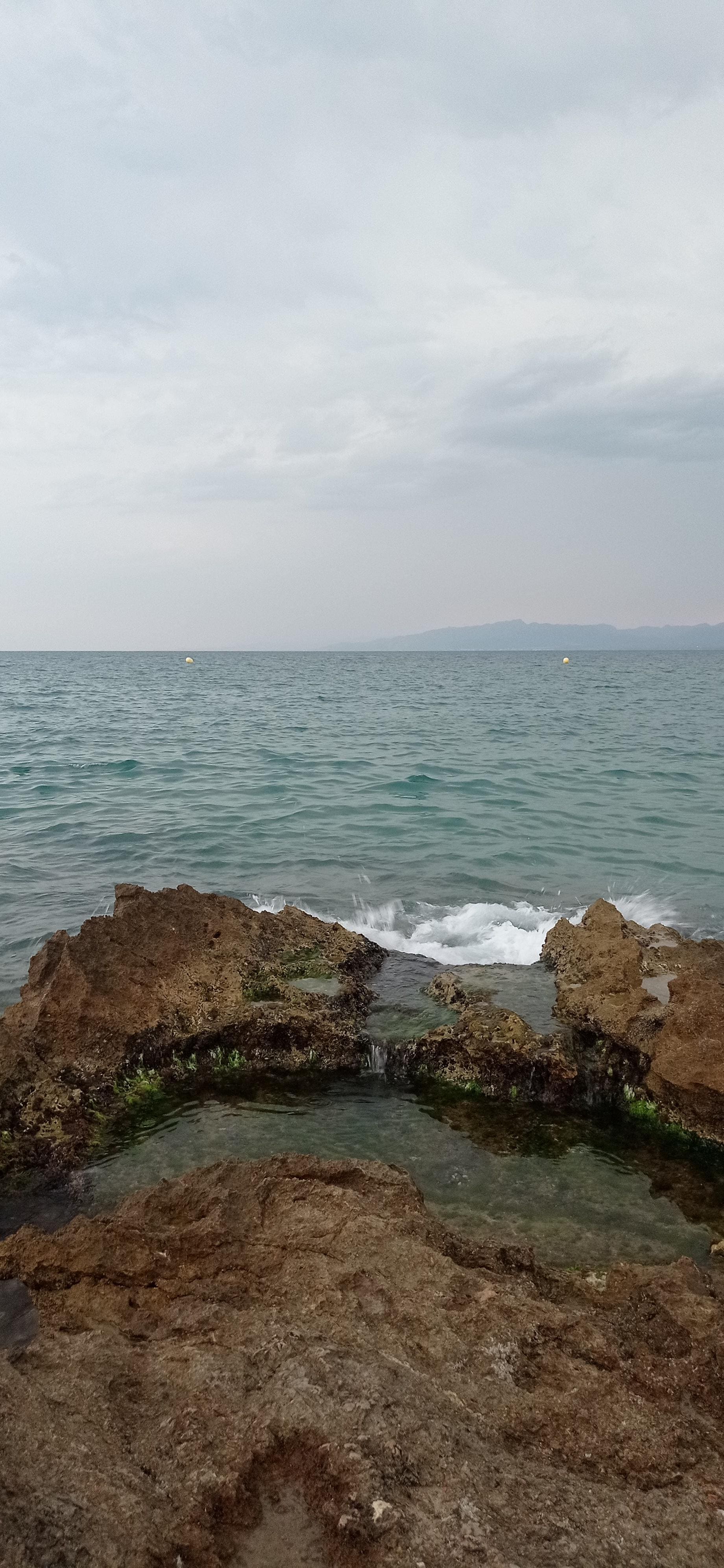 El mar fantástico sin comentarios