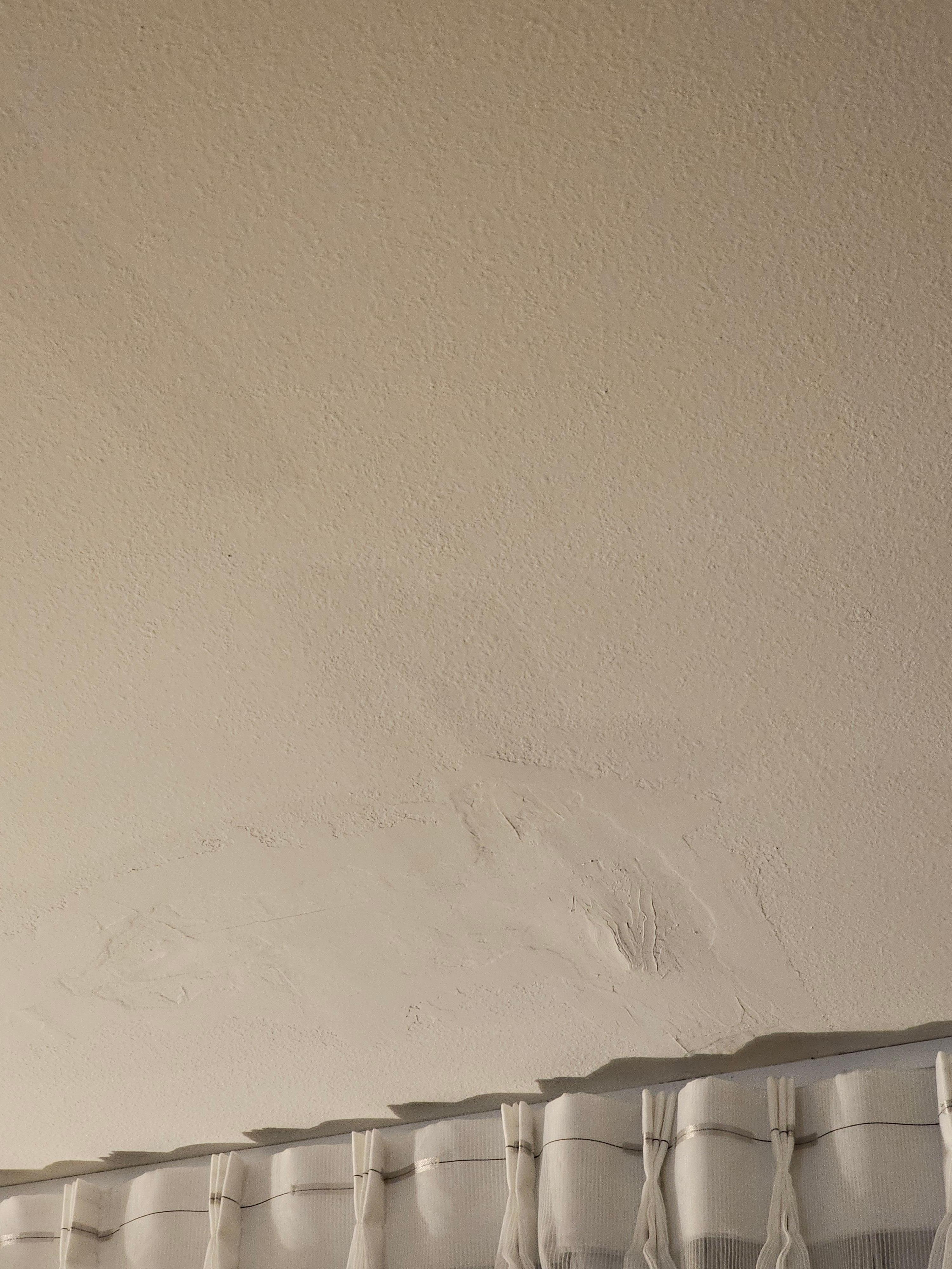 Water Damage in Ceiling 