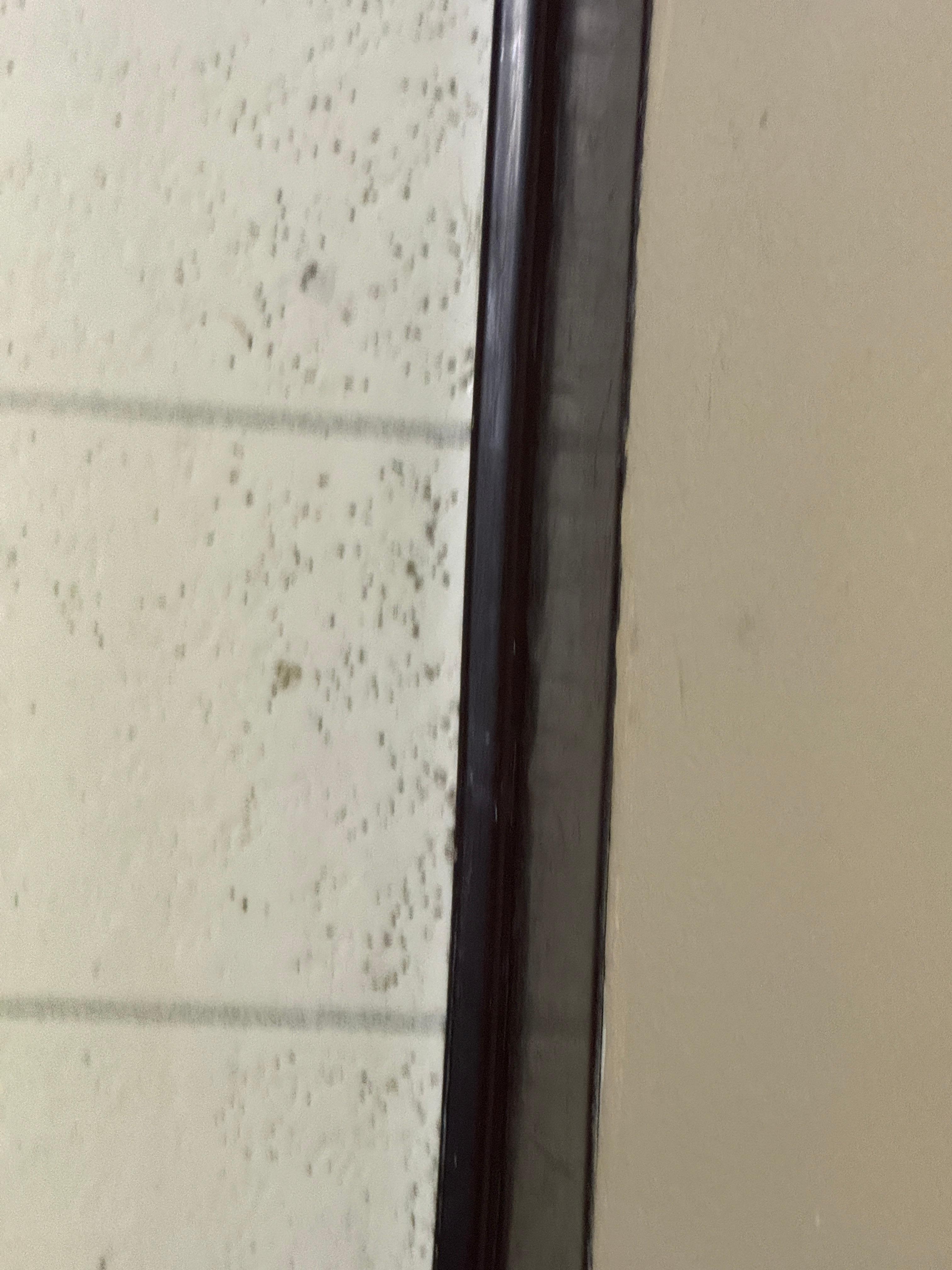 Mold spots on the floor