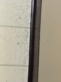 Mold spots on the floor