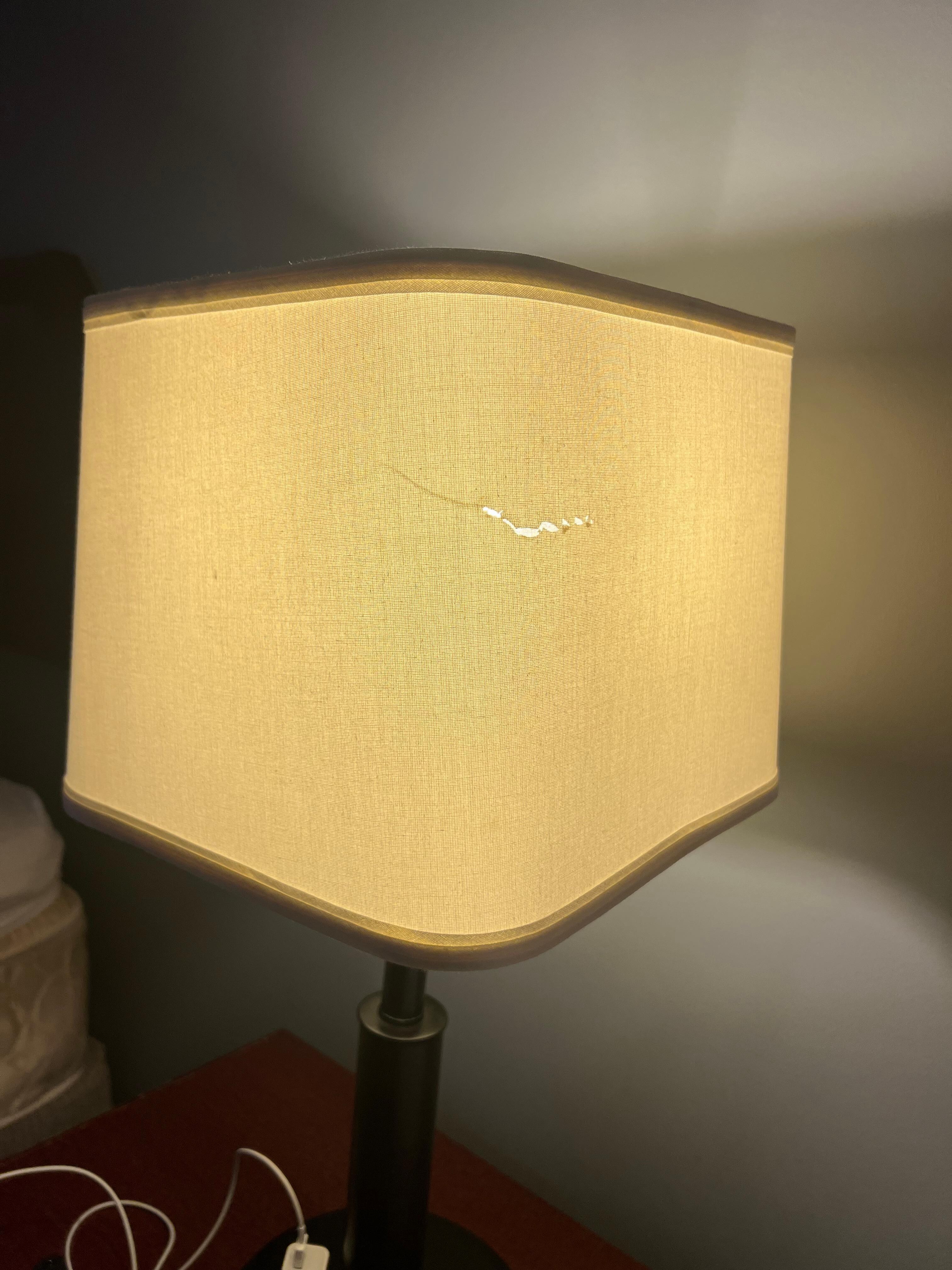 Torn lamp shade