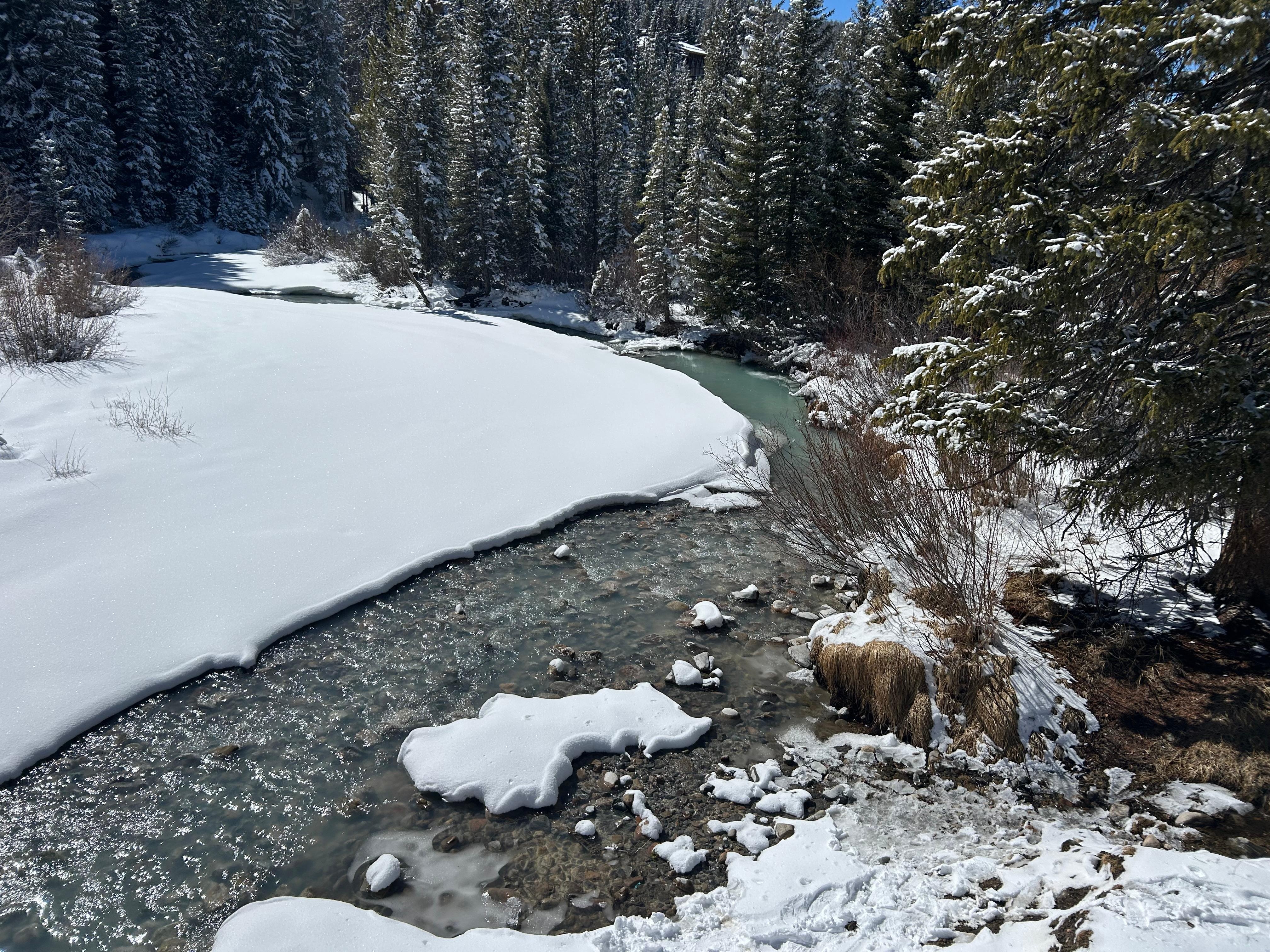 Beautiful brook on the back of property 