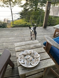Delish oysters from Ray at Friendship Oyster Company up the road!