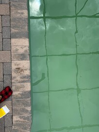 Pool at the house