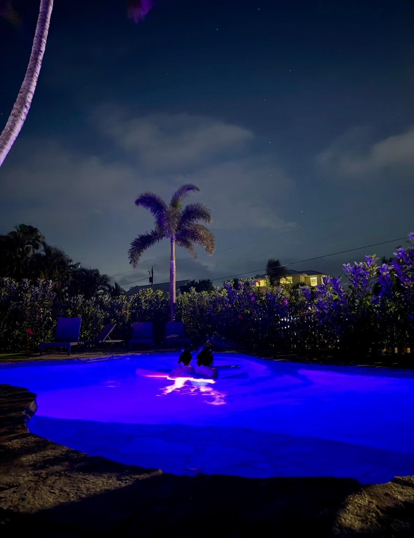 Swimming at night with the color changing lights was exciting.