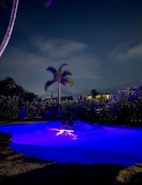 Swimming at night with the color changing lights was exciting.