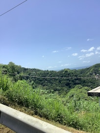 Views