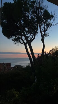 Blick von der Terrasse.