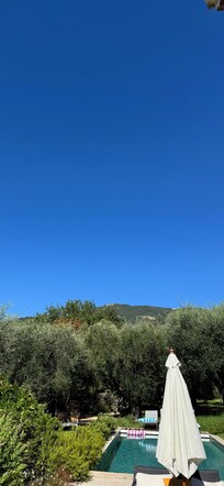 The beautiful sky from the garden