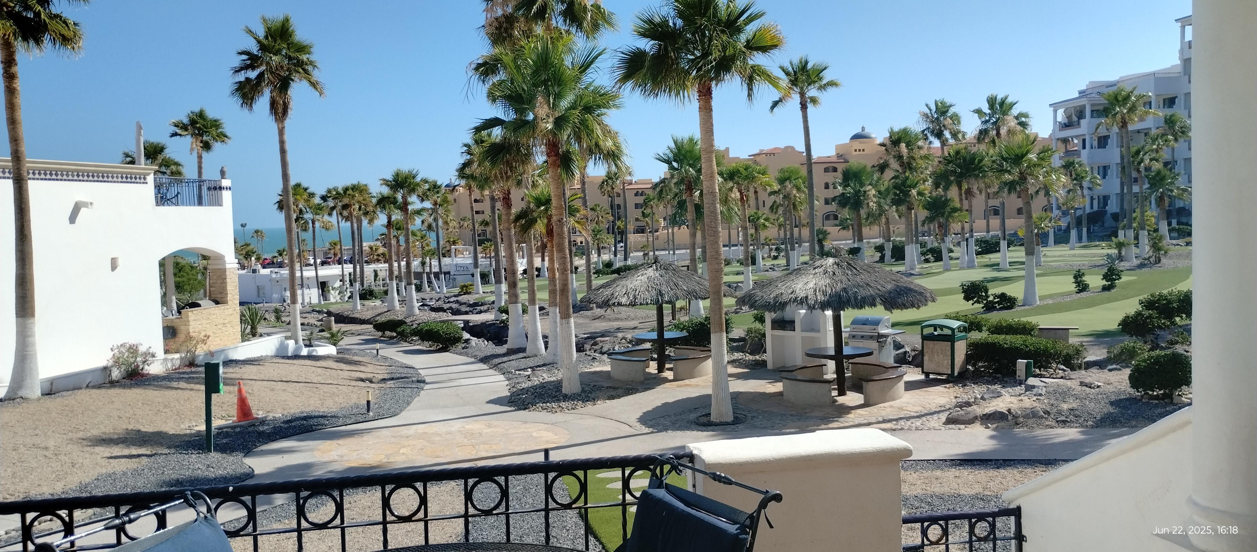 View from back porch 