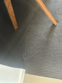Pulls in carpet
