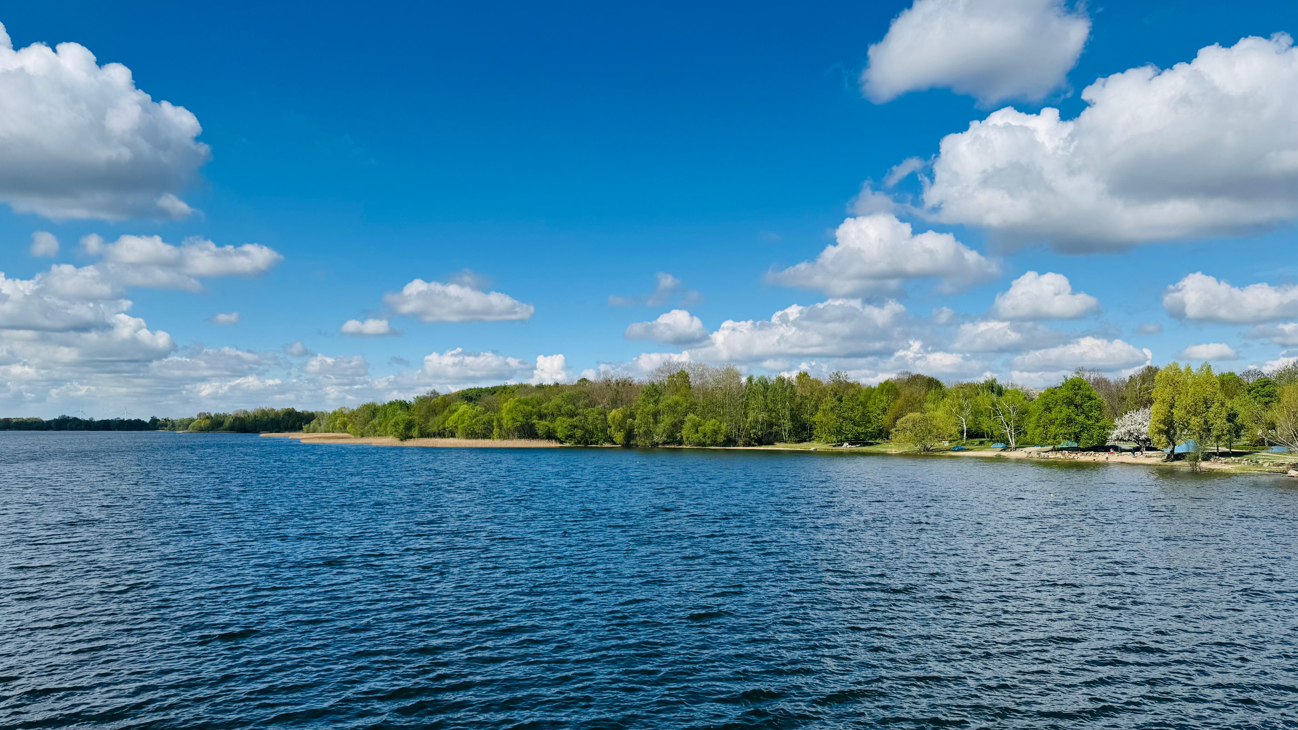 Senftenberger See