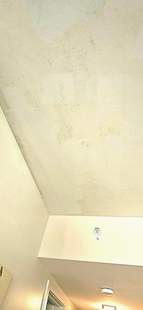 Celings looked like several layers of mold painted ovwr.