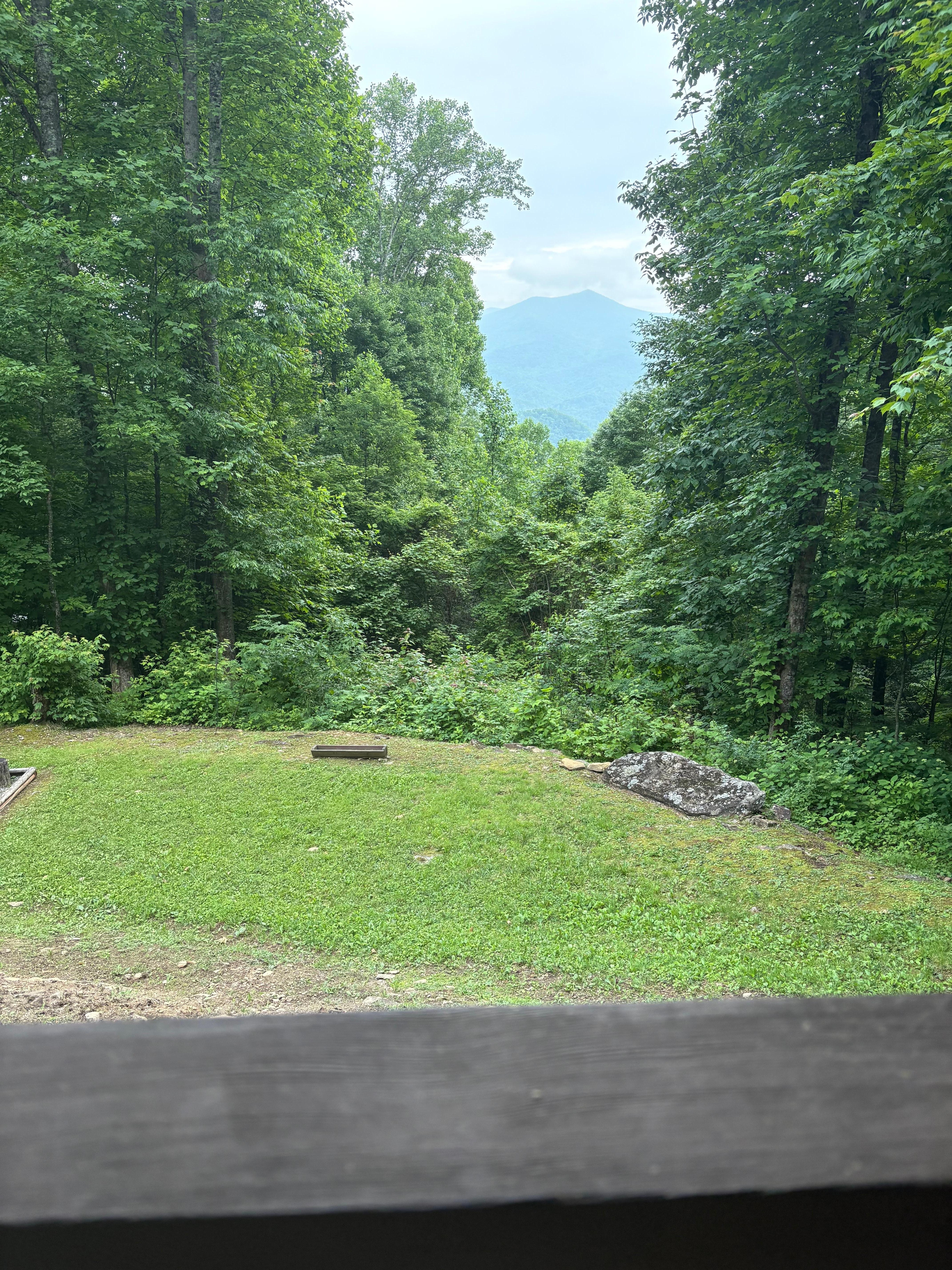 View from the front deck