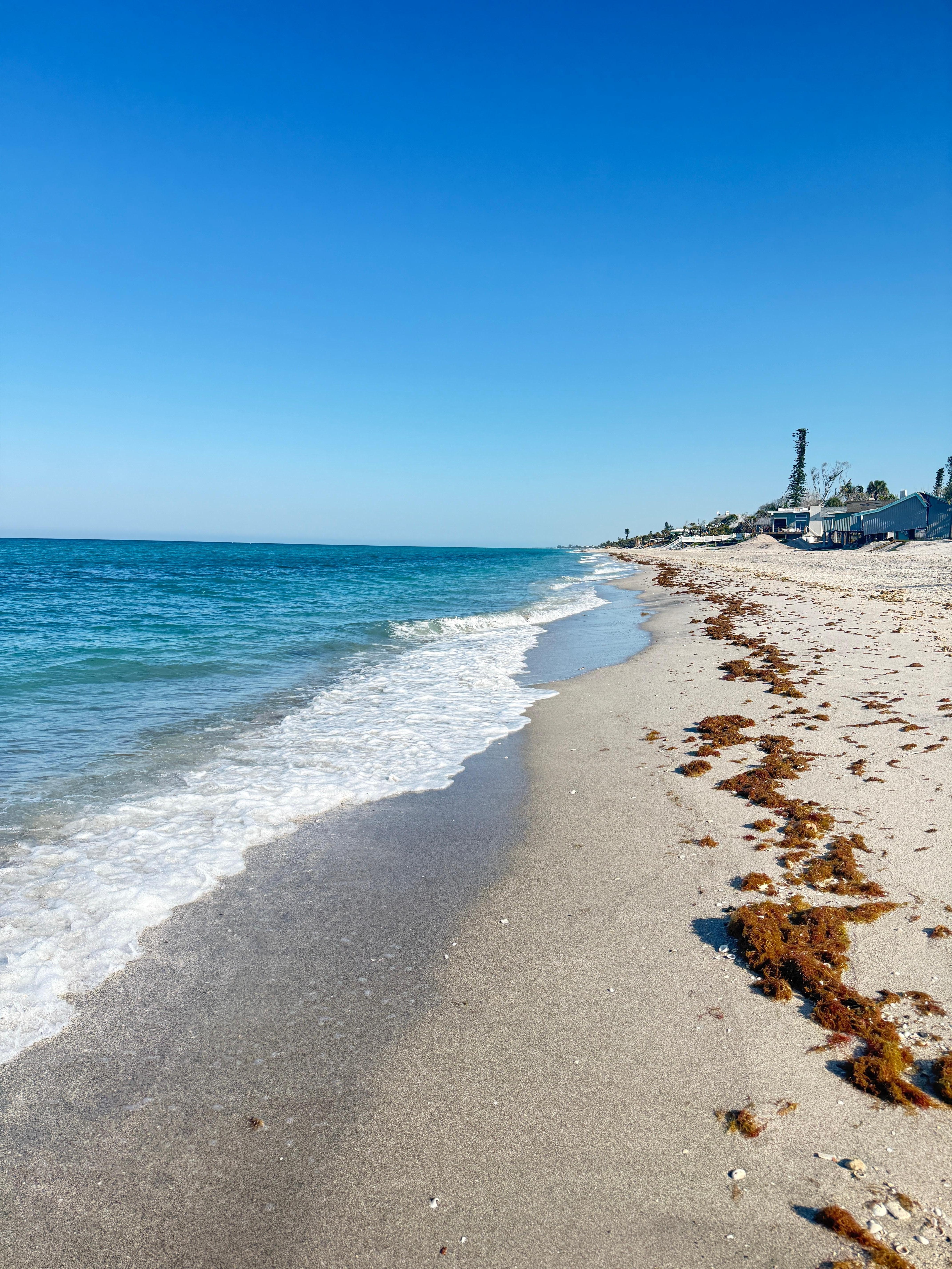 Morning walk down the beach