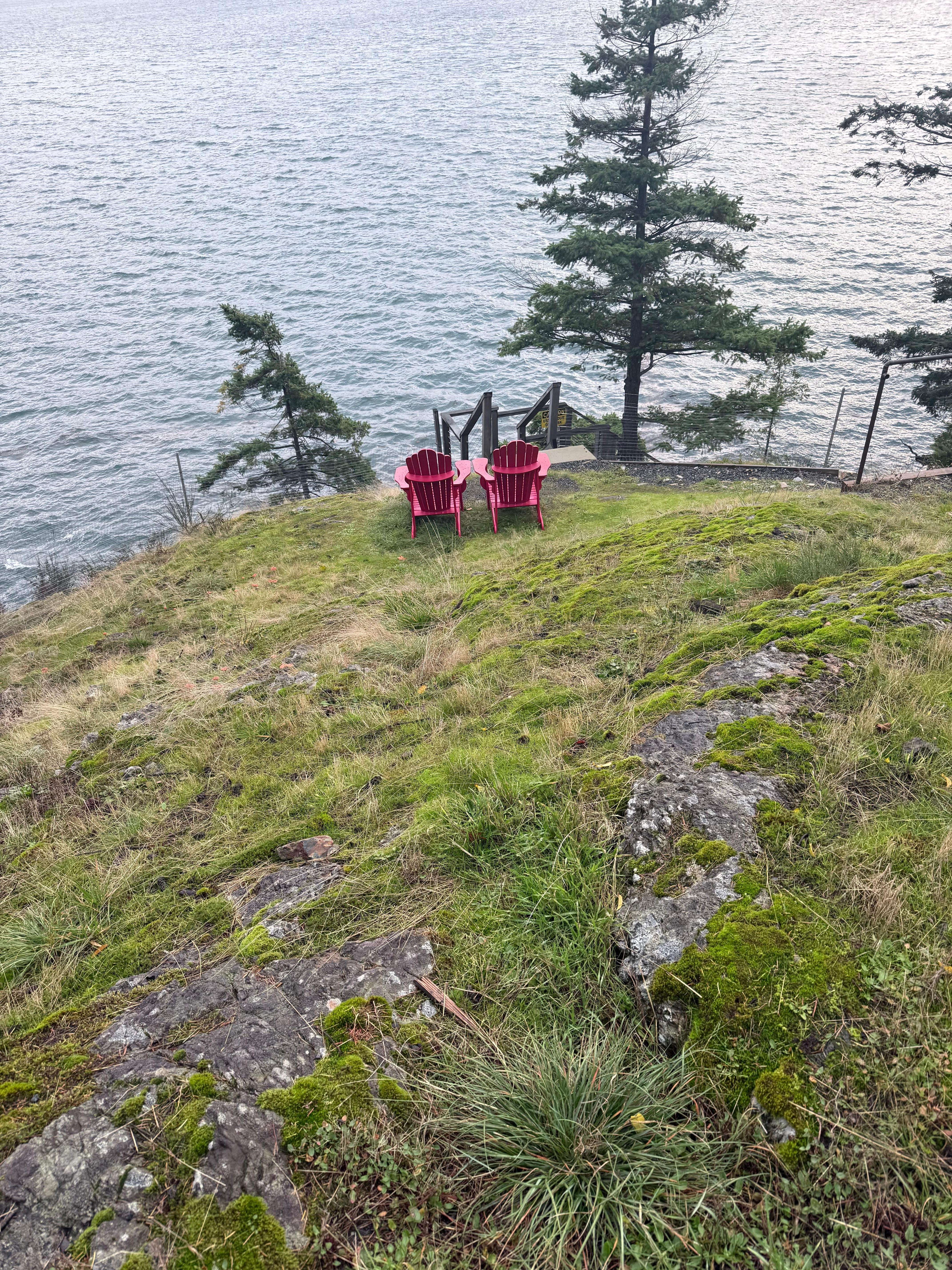 The views from here watching the eagles fly. 