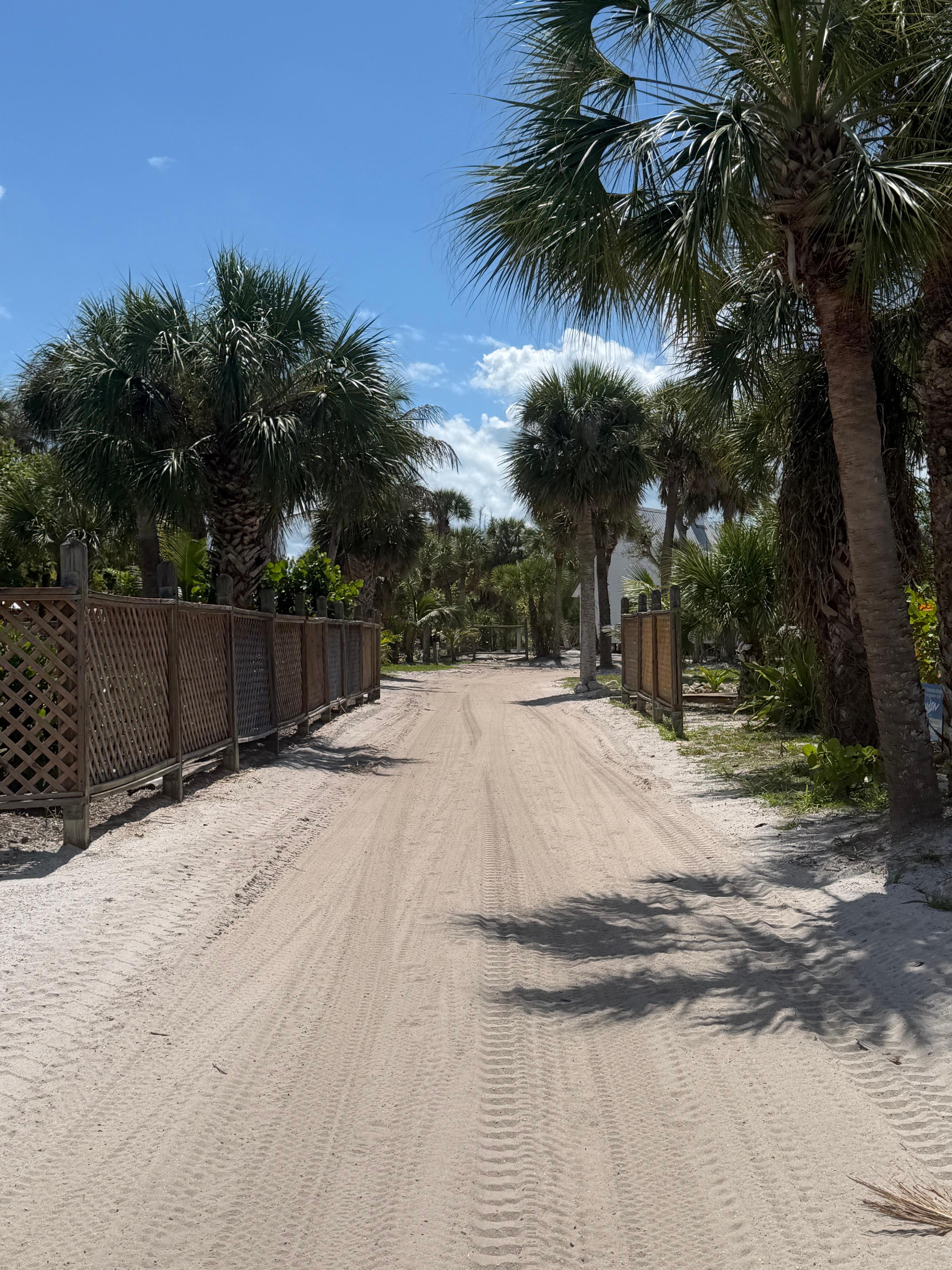On a drive on the golf cart - no roads, just sandy paths! 