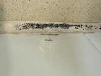Mold
